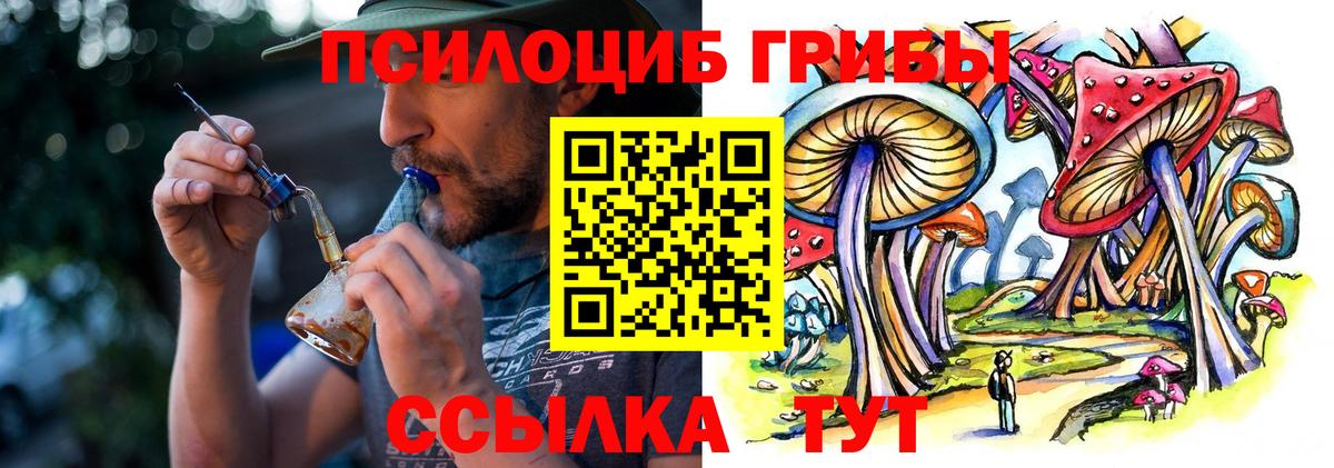 Новый Уренгой  Галлюциногенные грибы мицелий  Галлюциногенные грибы мухоморы  Вход с VPN 